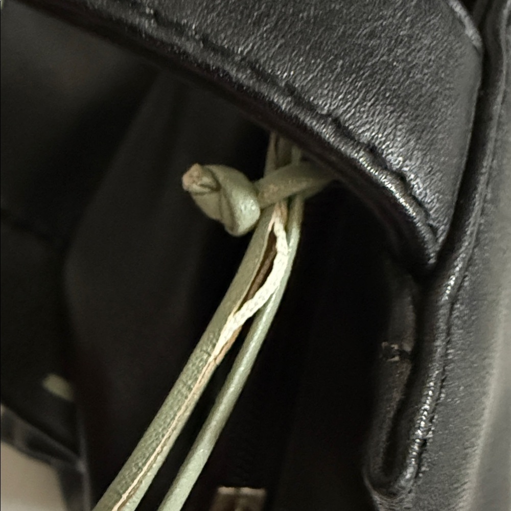 Radley London | Mini Bag Small Purse 54420 Black/Green - Picture 7 of 16